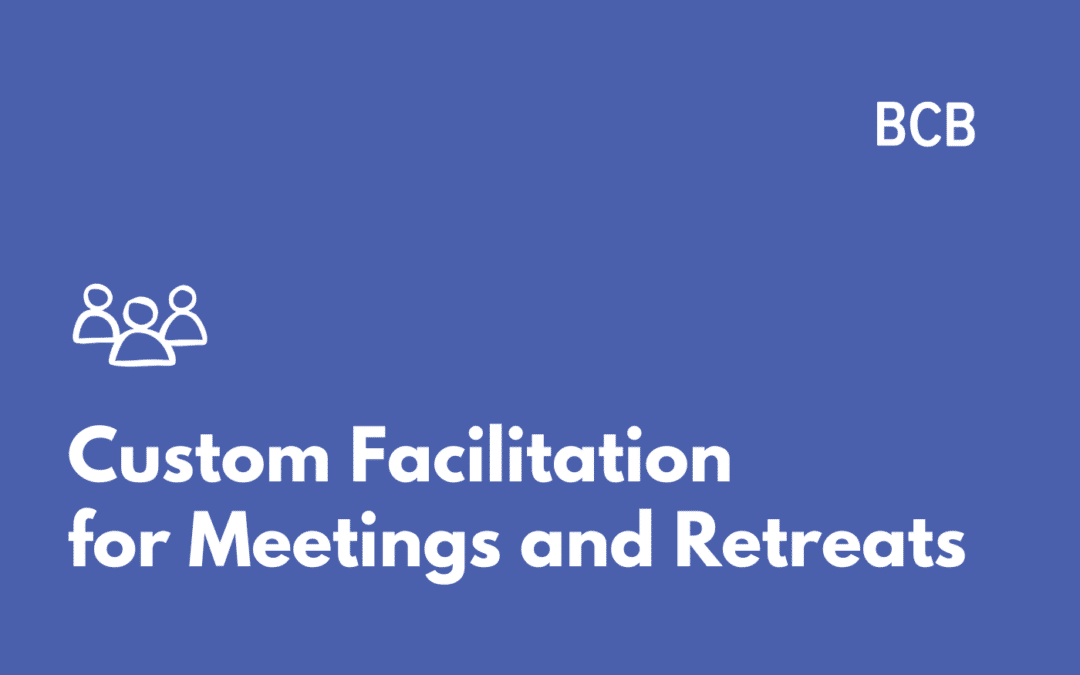 Custom Facilitation for Meetings and Retreats