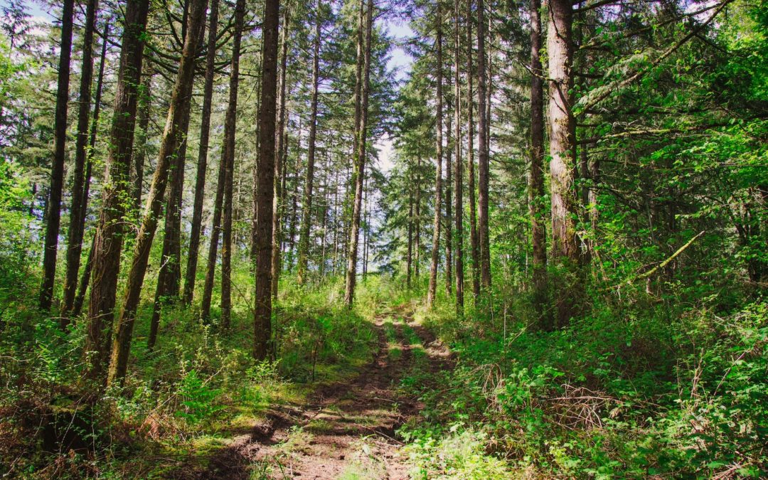 Request for qualifications